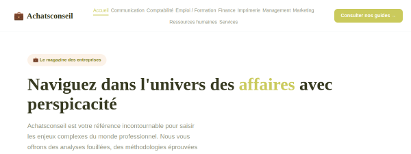 achatsconseil.fr