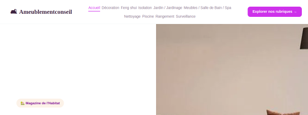 ameublementconseil.com