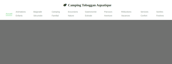 camping-toboggan-aquatique.fr