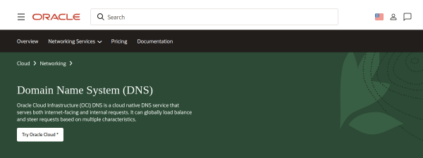 dyn.com