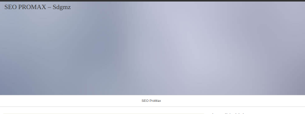 sdgmz.org
