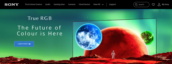 sony.co.in